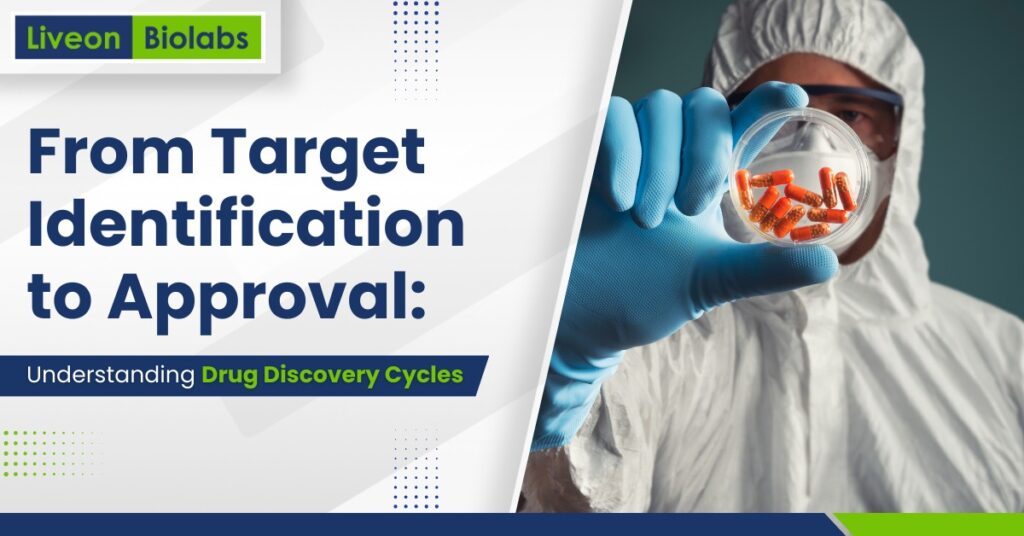 Drug Discovery Cycle