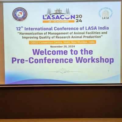 WhatsApp Image 2024-11-28 at 17.07.13