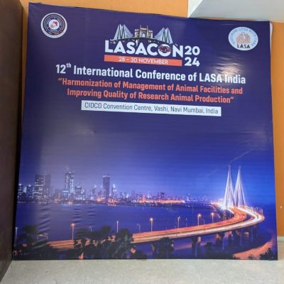 WhatsApp Image 2024-11-29 at 10.45.42